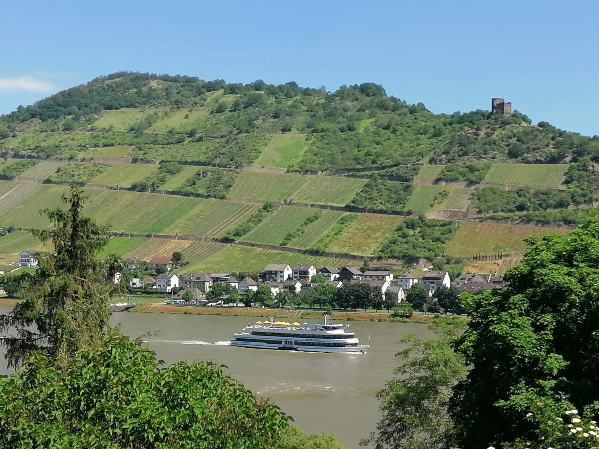 Oberdiebach Rainer'S Rheinblick 아파트 외부 사진